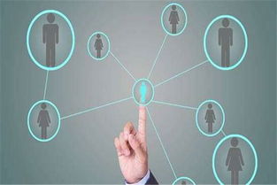 軟件定制開(kāi)發(fā)流程詳解 互聯(lián)網(wǎng)銷售視角下的高效路徑